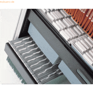 Bisley Hängeregistraturauszug HxBxT 6