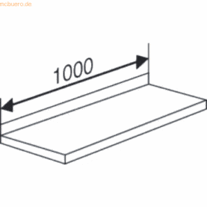 Kerkmann Fachboden für Bibliotheks-Regal libra BxT 100x25cm lichtgrau