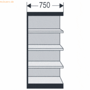 Kerkmann Büroregal Progress 2000 Regalfeld 75x30x190cm 5 Böden m. Rück