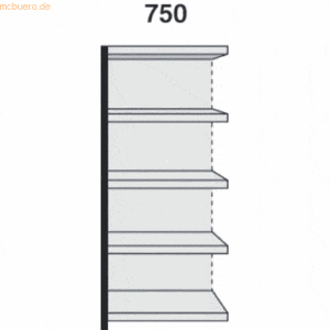 Kerkmann Magazin-Regal Stora 100 Regalfeld mit Rückwand BxTxH 75x60x19