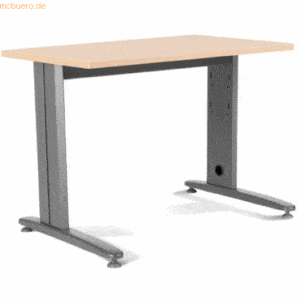 Rocada Schreibtisch Metal BxTxH 120x60x72cm Gestell grau Platte Melami