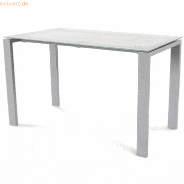 Rocada Schreibtisch Total BxTxH 120x60x73cm Gestell grau Platte Glas s